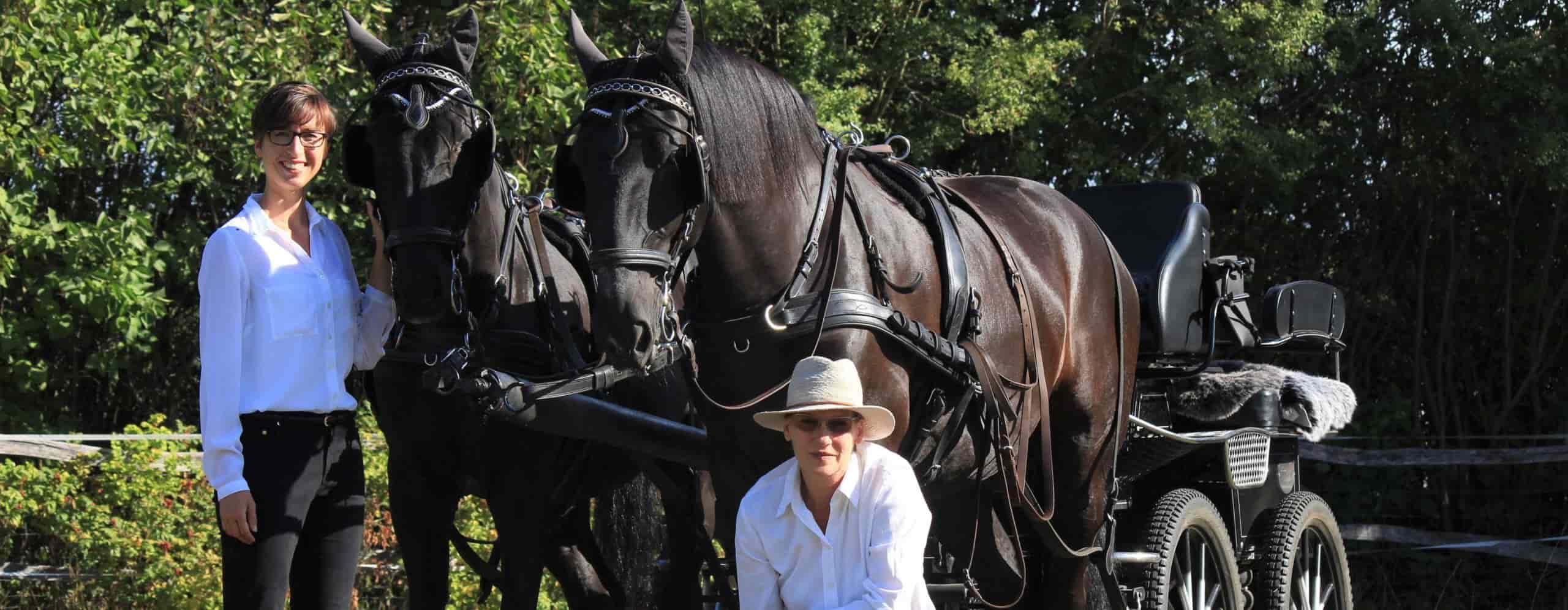 Pferdegestütztes Coaching im Havelland - Das Team Zorro
